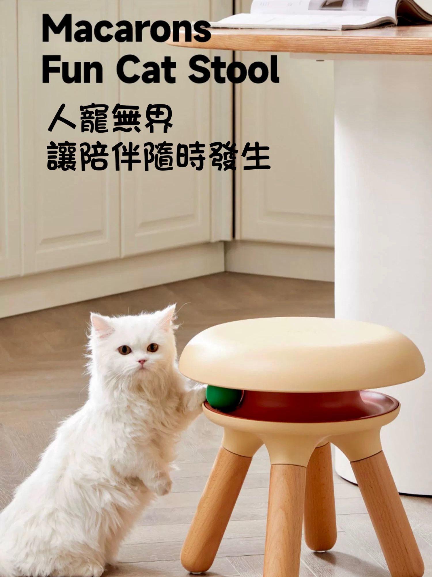 cat chair fun play 逗貓球 圓凳 貓星人 寵物用品